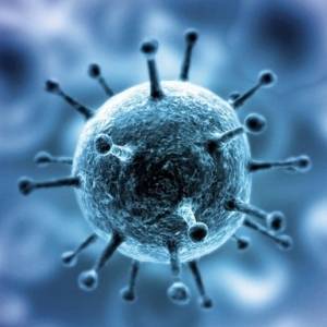 Ученые установили, как мутации коронавируса влияют на его заразность - reporter-ua.com - Сша - Бостон