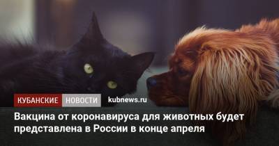 Вакцина от коронавируса для животных будет представлена в России в конце апреля - kubnews.ru - Россия