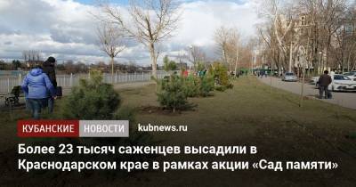 Более 23 тысяч саженцев высадили в Краснодарском крае в рамках акции «Сад памяти» - kubnews.ru - Ссср - Краснодарский край - Новороссийск - Кубани