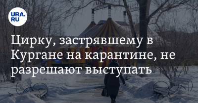 Алексей Цой - Цирку, застрявшему в Кургане на карантине, не разрешают выступать - ura.news