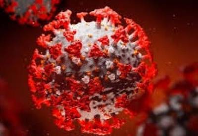 Как влияет УЗИ на коронавирус: ученые сделали открытие - facenews.ua - Украина