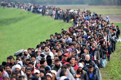 Дания намерена ввести миграционные ограничения - argumenti.ru - Дания