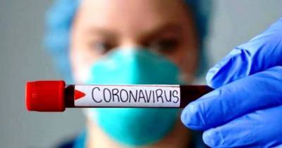 Сенсационное открытие: ученые выяснили, как УЗИ влияет на коронавирус - enovosty.com
