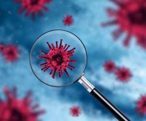 Вирусологи выявили «неуловимый штамм» коронавируса - goodnews.ua - Франция - Ланьон