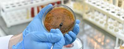В Оренбургской области обнаружены еще 76 заразившихся коронавирусом - runews24.ru - Оренбургская обл.