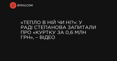 «Тепло в ній чи ні?»: у Раді Степанова запитали про «куртку за 0,6 млн грн», – відео - bykvu.com - Украина