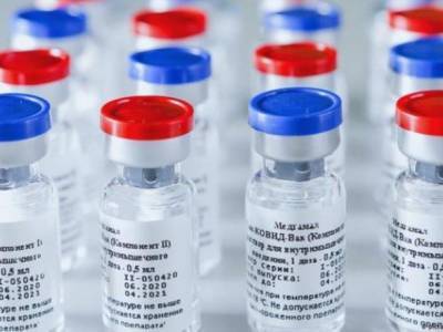 Словакия получила первую партию российской вакцины от коронавируса - unn.com.ua - Россия - Киев - Евросоюз - Словакия - Венгрия
