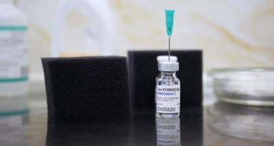Армения приобретет "Спутник V" в первую очередь: кому достанется вакцина от коронавируса? - ru.armeniasputnik.am - Армения
