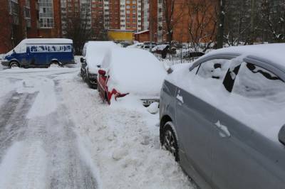 Снежная и морозная зима незначительно повлияла на число страховых случаев в Петербурге - neva.today - Санкт-Петербург