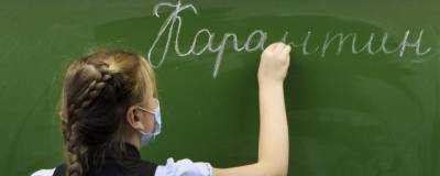 В 16 рязанских школах введен карантин из-за COVID-19 - runews24.ru - Рязанская обл.