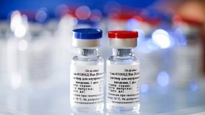 Словакия стала второй страной ЕС, закупившей вакцину «Спутник V» - golos-ameriki.ru - Словакия - Венгрия