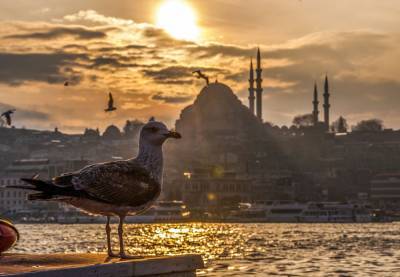 В Турции у путешественников потребуют отрицательный ПЦР-тест на COVID-19 - 1prof.by - Турция