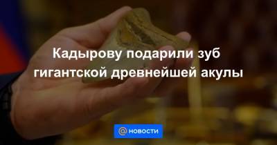 Кадырову подарили зуб гигантской древнейшей акулы - news.mail.ru - район Шатойский