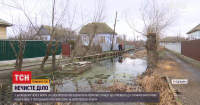 Вилково в Одесской области затапливает нечистотами: почему никто не хочет нести ответственность - tsn.ua - Украина - Одесская обл.