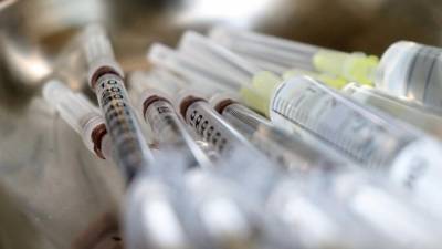 Максим Скулачев - Российские ученые опровергли популярные мифы о вакцинации против коронавируса - nation-news.ru - Россия