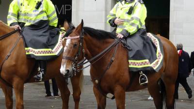 Сара Эверард - Полиция Лондона задержала 33 человека на акции протеста - polit.info - Англия - Лондон