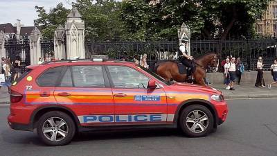 Полиция задержала 33 человек после акции протеста в Лондоне - inforeactor.ru - Англия - Лондон