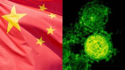 Питер Дасзак - ВОЗ: новый коронавирус мог появиться из-за торговли животными в Китае - nation-news.ru - Англия - Китай - Ухань