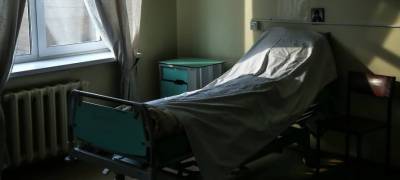 За сутки в Карелии один человек умер от пневмонии и 10 заболели - stolicaonego.ru - республика Карелия