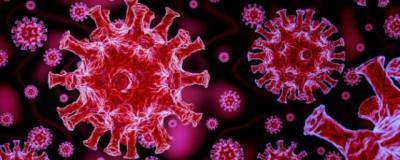 В Ставропольском крае обнаружены еще 111 заразившихся коронавирусом - runews24.ru - Ставрополье край - Кисловодск - Пятигорск - Железноводск - Невинномысск