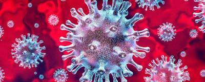 В Тамбовской области обнаружены еще 96 заразившихся коронавирусом - runews24.ru - Тамбовская обл.