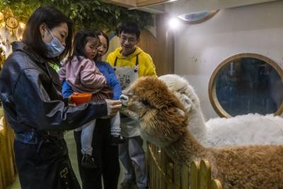 Эпидемию COVID могли запустить торговцы животными в Китае, - ВОЗ - news.bigmir.net - Китай - Ухань