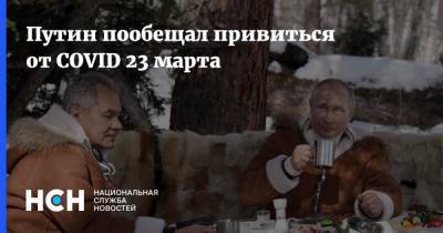 Владимир Путин - Путин пообещал привиться от COVID 23 марта - nsn.fm - Россия
