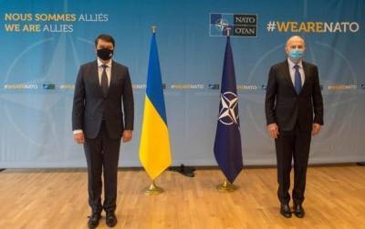 Дмитрий Разумков - Мирча Джоанэ - Разумков: Украина ждет план по членству в НАТО - korrespondent.net