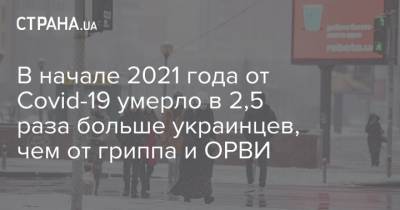 В начале 2021 года от Covid-19 умерло в 2,5 раза больше украинцев, чем от гриппа и ОРВИ - strana.ua