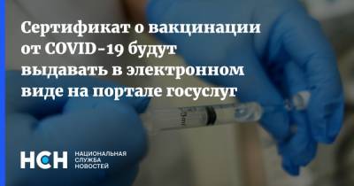 Сертификат о вакцинации от COVID-19 будут выдавать в электронном виде на портале госуслуг - nsn.fm - Россия