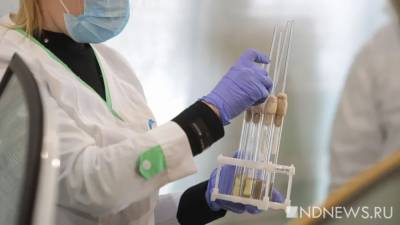 В России коронавирус нашли еще почти у 8,5 тыс. человек - newdaynews.ru - Россия