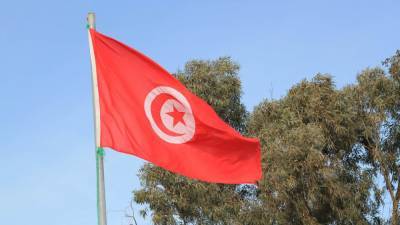 Торговля и инвестиции: Тунис укрепляет двусторонние отношения с Катаром - riafan.ru - Катар - Тунис - Тунисская Республика