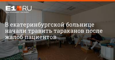 Артем Устюжанин - В екатеринбургской больнице начали травить тараканов после жалоб пациентов - e1.ru - Екатеринбург