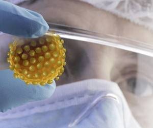 Ученые нашли новое средство для лечения коронавируса - goodnews.ua - Гонконг