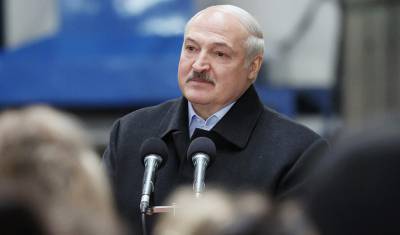 Александр Лукашенко - Александр Лукашенко назвал цену дозы российской вакцины - 19 долларов - newizv.ru - Россия - Китай