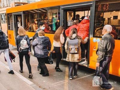 В НПАТ прокомментировали возможность ездить в автобусах без масок - vgoroden.ru