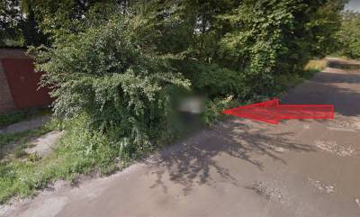 Тайное стало явным: на фото Харькова в Google Maps увидели мужчину, который ср*л в кустах: видео - 24tv.ua - Харьков