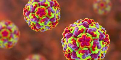 Новая гипотеза: обычная простуда вытесняет коронавирус из организма - 24tv.ua