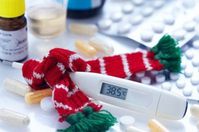 В Ленобласти резко выросло число госпитализированных с гриппом и ОРВИ - ivbg.ru - Ленобласть обл.