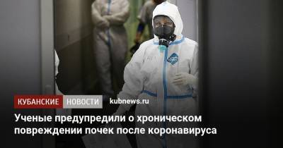Ученые предупредили о хроническом повреждении почек после коронавируса - kubnews.ru