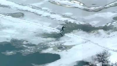 На городском пруду мужчина провалился под лед (ВИДЕО) - newdaynews.ru - Екатеринбург