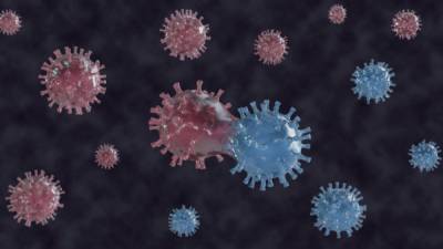 Индия - В Индии обнаружили новый тип коронавируса с двойной мутацией - profile.ru