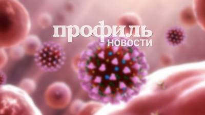 Валентина Матвиенко - Матвиенко заявила, что развитие пандемии будет остановлено к осени - profile.ru - Россия