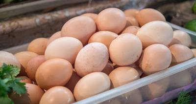 Повод нагреть руки: главный птицевод Армении о том, почему снова дорожают яйца - ru.armeniasputnik.am - Армения