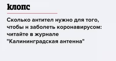 Сколько антител нужно для того, чтобы не заболеть коронавирусом: читайте в журнале "Калининградская антенна" - klops.ru