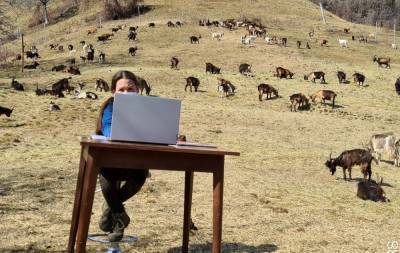 Онлайн-уроки на природе: 10-летняя девочка из Италии учится дистанционно в горах – фото - 24tv.ua - Италия - Киев