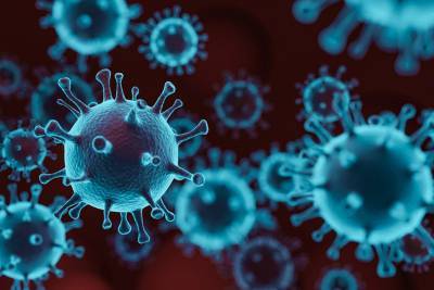 Шокирующее открытие ученых: коронавирус не страшен тем, кто простужен - naviny.by - Шотландия