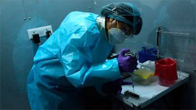 В Индии обнаружен коронавирус - двойной мутант. Насколько это опасно? - bin.ua
