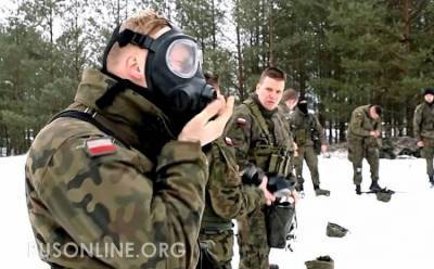 Оккупанты: В Польше случился громкий скандал с американским военным - rusonline.org - Польша