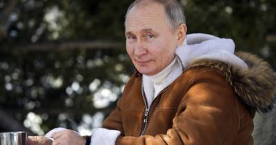 Владимир Путин - Племянник президента РФ создал Комитет поддержки Путина - tsn.ua - Россия - Украина - республика Крым